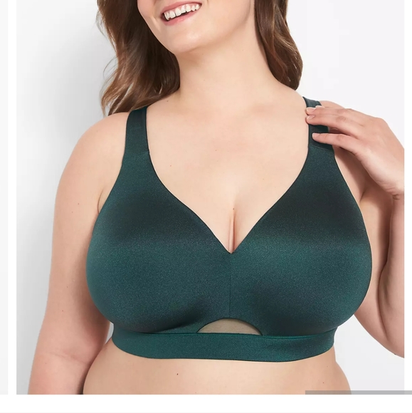Lane Bryant Other - Lane Bryant Cacique Comfort Bliss lightly lined Bra 46DD Mesh Detail